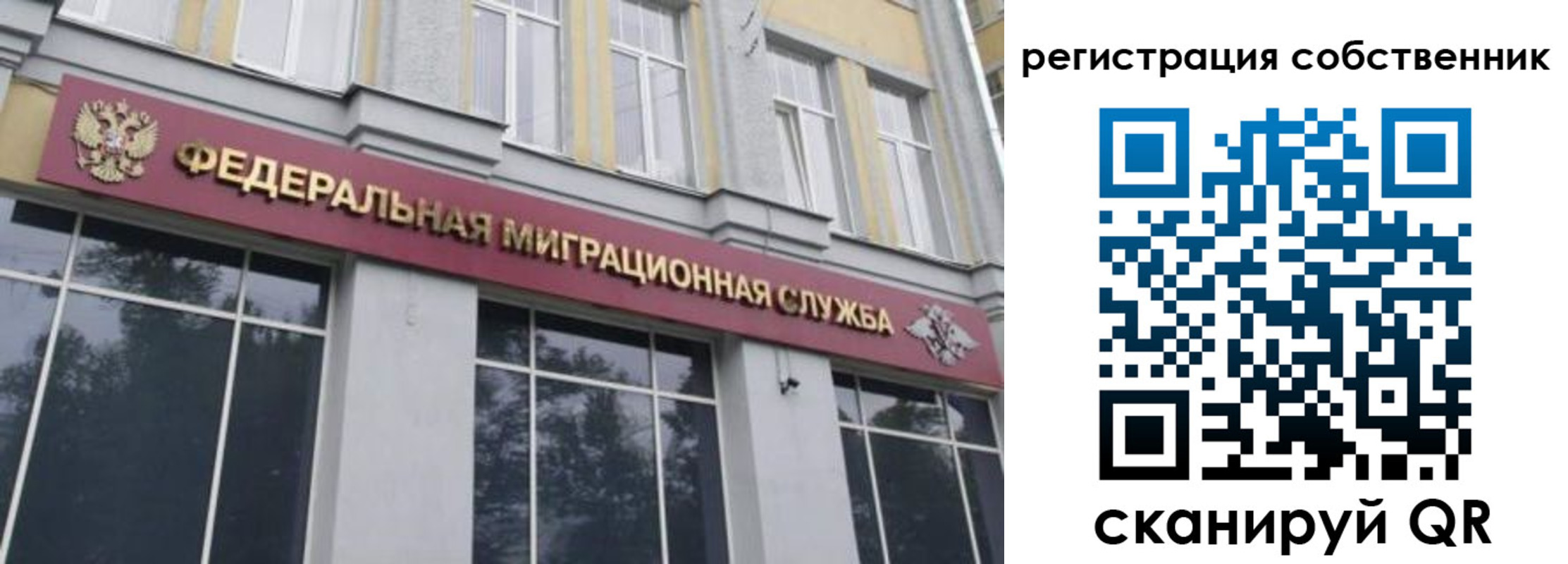 временная регистрация поиск в Химках